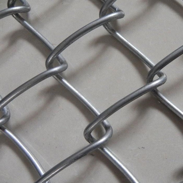 Five-Shed Wire Mesh